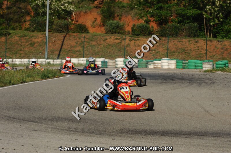 DSC_0201 2.JPG
